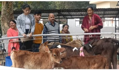 नाहन में गोपाष्टमी पर्व की धूम, गौ पूजन के लिए दूर-दूर से पहुंचे लोग,