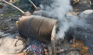 खारा के जंगल में अवैध शराब की 7  भट्टियां पकड़ी, 4400 लीटर लाहन नष्ट की