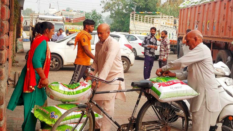 ‘धन्यवाद सरकार...बढ़िया बीज मिल रहा घरद्वार’