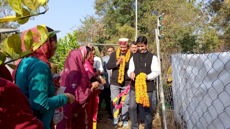 बागवानों को बागीचे तैयार करके दे रही है एचपीशिवा परियोजना: जगत सिंह नेगी