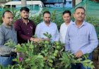 बेंगलुरू में अमरूद की नई किस्में की जानकारी ले रहे हैं हिमाचल के अधिकारी