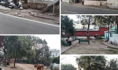 लाखों की लागत से बने 3 पार्कों की दुर्दशा...नियमित रखरखाव जीरो