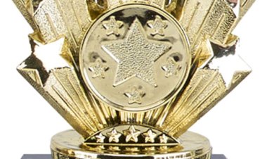 नई दिल्ली में जिला प्रशासन, कुल्लू को स्कॉच पुरस्कार से सम्मानित किया