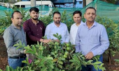 बेंगलुरू में अमरूद की नई किस्में की जानकारी ले रहे हैं हिमाचल के अधिकारी