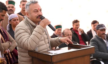 प्रदेश में प्रत्येक वर्ग का विकास हो रहा है - रोहित ठाकुर