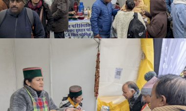 विटंर कार्निवाल में पर्यटकों की पहली पसंद पाइन नीडल प्रोडक्ट्स