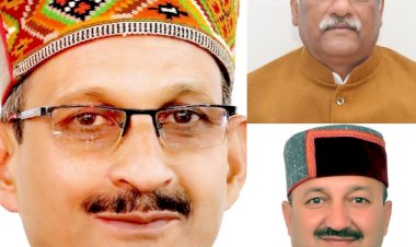 जंगल कटान जांच हेतु भाजपा की तीन सदस्यीय समिति, 29 दिसंबर को धर्मपुर जिला मंडी पहुंचेगी