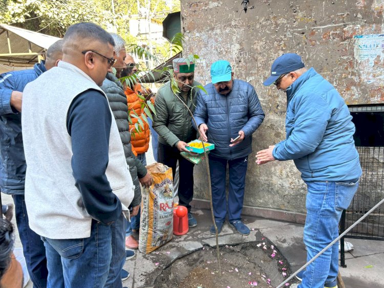 नाहन के विधायक अजय सोलंकी ने दिया पर्यावरण संरक्षण का संदेश