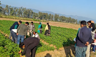 मौसम पूर्वानुमान अनुसार करें कृषि एवं पशुपालन कार्य।