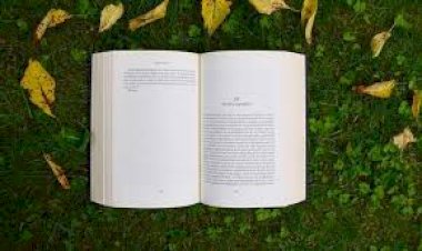 सोलन ज़िला के 11 स्कूल ग्रीन श्रेणी में चयनित