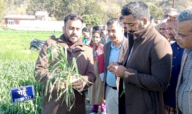 उपायुक्त ने किसानों से मिश्रित खेती अपनाने का किया आह्वान