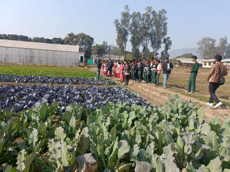 उन्नत विधियों के अनुसार करें कृषि एवं पशुपालन कार्य: