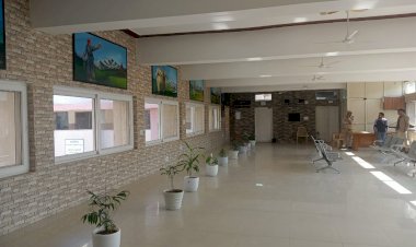 डीसी ऑफिस में आगंतुकों को होगी सुखद अनुभूति, सभी लोगों को आकर्षित कर रही हैं दीवारों पर लगाई गई खूबसूरत पेंटिंग्स