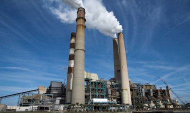 उद्योगों को बिजली पर मिलने वाली सब्सिडी जारी रहे, कालाअम्ब चैम्बर  की गुहार, उद्योगों का परिचालन हुआ मुश्किल, नेताओं व अधिकारियों के आश्वासन काम नहीं आए