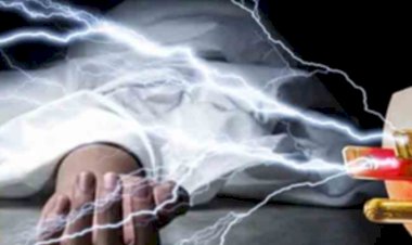 एचपीएसईबीएल के दो कर्मचारियों की करंट लगने से मौत