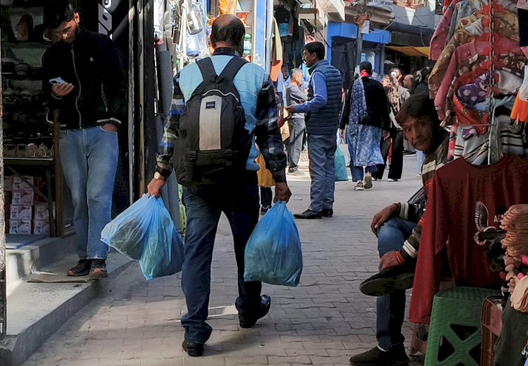 इको फ्रेंडली कैरी बैग विकल्पों पर लगाया प्रतिबंध, हिमाचल प्रदेश सरकार ने लिया चौंकाने वाला फैसला,