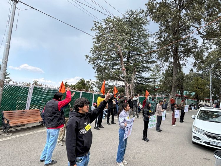 विद्यार्थी परिषद  प्रदेश सरकार के विरोध में किया धरना प्रदर्शन, शिक्षा की गुणवत्ता को सुधरे एवं युवाओं को स्थाई रोजगार दे सरकार।