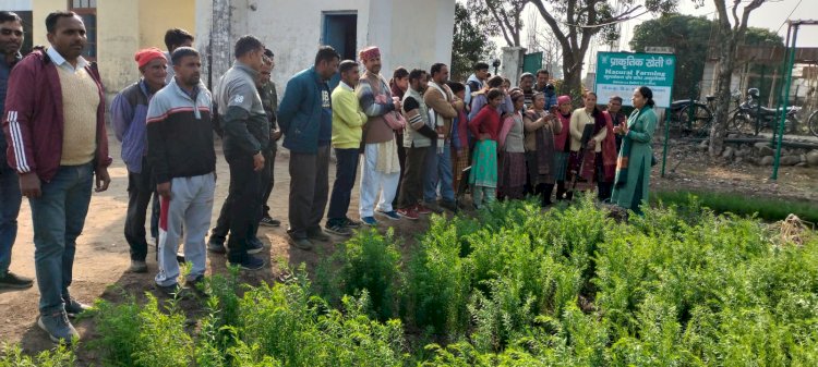 फरवरी के दूसरे पखवाड़े में किए जाने वाले कृषि व पशुपालन के कार्यों के लिए मार्गदर्शिका