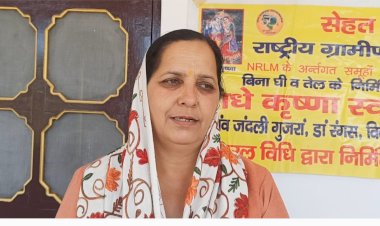 सफलता की कहानी      अनीता के हाथों से बनी पपीते और आंवले की बर्फी ने बनाई अलग पहचान अब गांव की 10 अन्य महिलाओं को भी दे रही हैं रोजगार