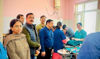 बसाल में नेशनल लाइव स्टॉक मिशन के तहत मेगा शिविर आयोजित