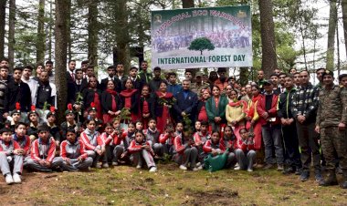 वृक्षारोपण अभियान से पर्यावरण संरक्षण का संदेश