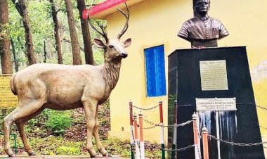 कर्नल शेर जंग राष्ट्रीय उद्यान सिम्बलवाड़ा को पर्यटन के नक्शे पर नई पहचान दिलाने की तैयारी, सदन में चौधरी सूखराम के सवाल पर सीएम का जवाब आया...