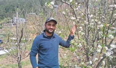 बदलती प्राकृतिक परिस्थितियों में उच्च घनत्व सेब बागवानी लाभदायक