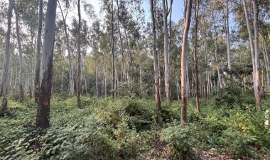 खास खबर : नेशनल हाईवे पर रिजर्व फोरेस्ट में प्रस्तावित पुलिस लाइन बनी तो, 3000 पेड़ आएगें जद में, खफा ग्रामीणों ने पीएमओ को भेजी शिकायत..... .... 50 बीघा जमीन देने की कवायदों का हो रहा है विरोध...