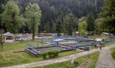 ट्राऊट मछली उत्पादन में अलग पहचान बना रहा मंडी जिला का बरोट क्षेत्र, मत्स्य आखेट के शौकीनों के लिए पसंदीदा स्थल के रूप में उभरा