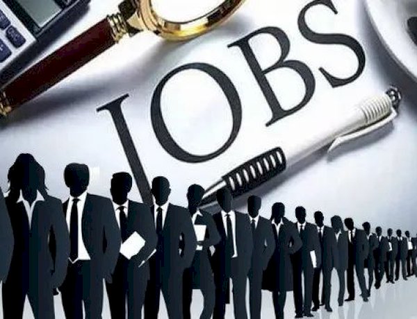 सेवानिवृत्त राजस्व अधिकारियों  से  14 पदों पर आवेदन आमंत्रित, 09 अप्रैल 2026 तक कर सकते हैं आवेदन