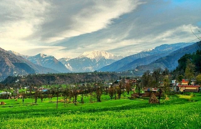 प्राकृतिक खेती से आर्थिक समृद्धि की राह पर पांगी घाटी के 1600 किसान
