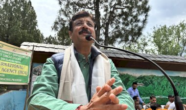 जाइका इंडिया ने सराहे हिमाचल में वानिकी परियोजना के कार्य