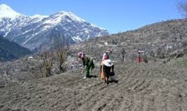 पांगी बनेगा राज्य का पहला प्राकृतिक खेती उप-मंडल