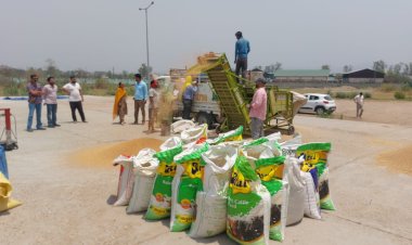 मुख्यमंत्री ठाकुर सुखविंद्र सिंह सुक्खू की अगुवाई में  प्राकृतिक खेती के अनुकरणीय मॉडल के रूप में उभर रहा हिमाचल