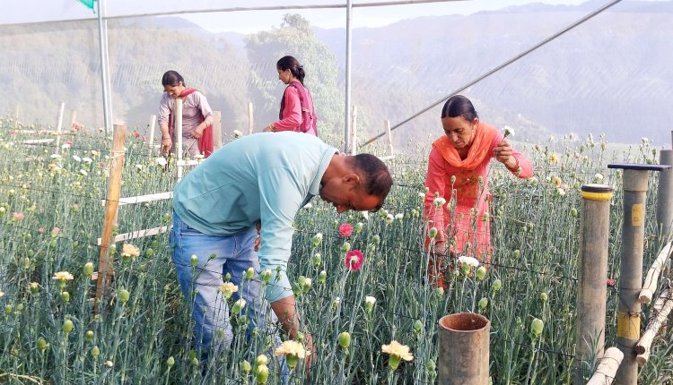 सफलता की कहानीःआईटी सेक्टर की नौकरी को तिलांजलि दे भाग सिंह ने पुष्प उत्पादन की राह