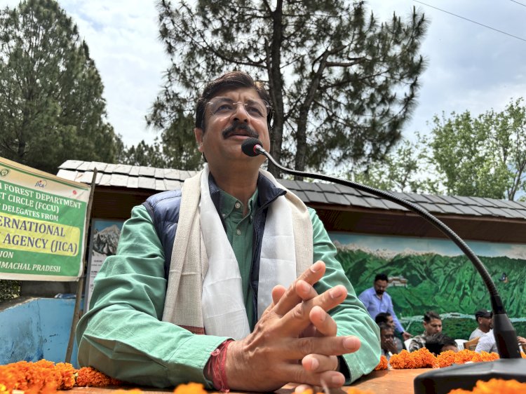 जाइका इंडिया ने सराहे हिमाचल में वानिकी परियोजना के कार्य