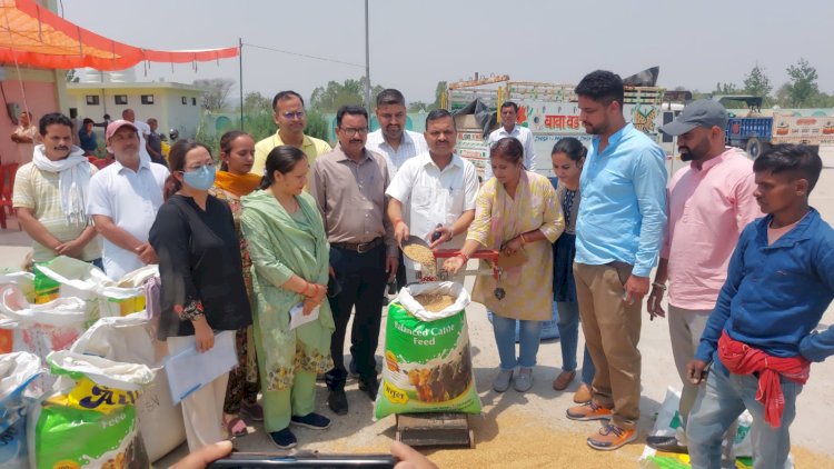 ऊना में 24 किसानों से खरीदी लगभग 200 क्विंटल प्राकृतिक खेती से तैयार गेहूं