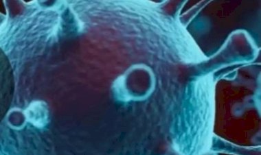 सिरमौर में बुजुर्ग महिला कोरोना पॉजिटिव..