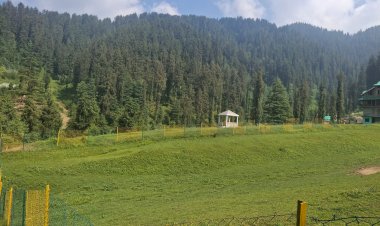 देवी मां शिकारी की छांव में प्राकृतिक सौंदर्य, ट्री हाउस और ईको टूरिज्म का अनूठा संगम बायोडायवर्सिटी पार्क