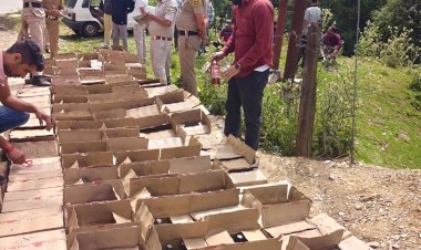 आबकारी विभाग ने इस साल 5438.771 बल्क लीटर अवैध शराब बरामद की