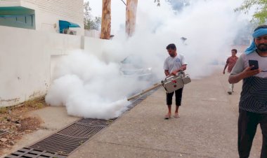 ऊना नगर निगम ने मच्छरजनित रोगों के विरुद्ध फॉगिंग अभियान किया तेज