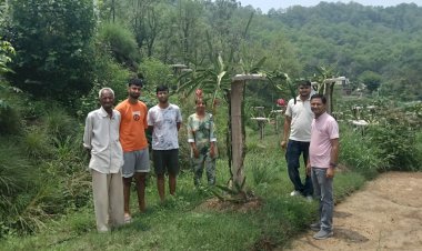 74 की उम्र में नवाचार की खेती, बंगाणा के रोशन लाल ने रची आत्मनिर्भरता की कहानी