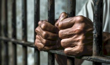 छेडख़ानी का आरोपी शिक्षक 14 दिन के लिए भेजा जेल, पुलिस ने अदालत में किया था पेश...