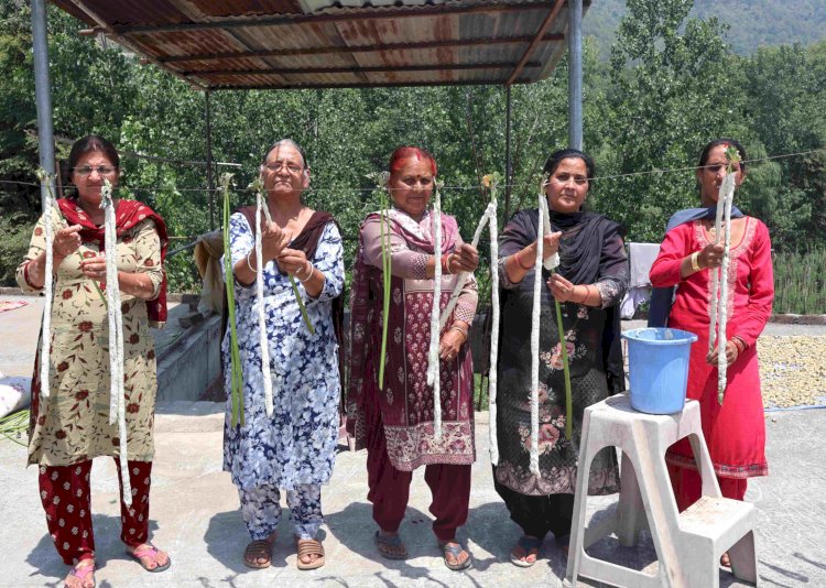 महिलाओं को आत्मनिर्भर बना रहा नवज्योति स्वयं सहायता समूह हाथ के हुनर और सरकार के सहयोग से लिखी सफलता की कहानी