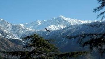प्रदेश में विकसित होंगे 77 ईको-टूरिज्म स्थल .. हिमाचल प्रदेश में पहुंचे 181.24 लाख पर्यटक
