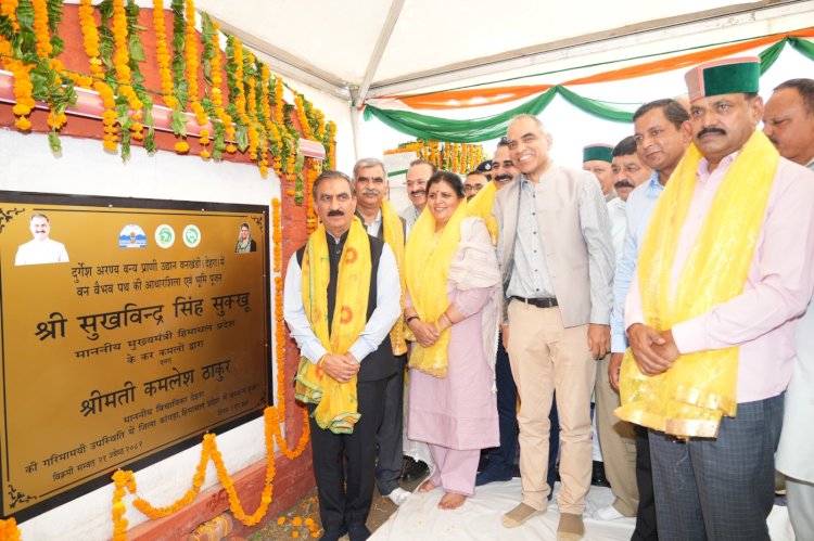 मुख्यमंत्री ने देहरा विधानसभा क्षेत्र में 100 करोड़ रुपये की विकासात्मक परियोजनाओं के लोकार्पण और शिलान्यास किए