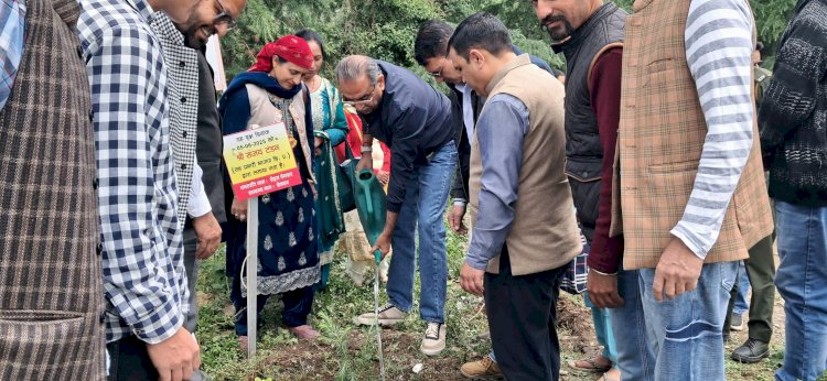 विश्व पर्यावरण दिवस ठियोग विधानसभा में “एक पेड़ माँ के नाम” अभियान के तहत पौधारोपण