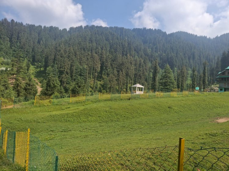 देवी मां शिकारी की छांव में प्राकृतिक सौंदर्य, ट्री हाउस और ईको टूरिज्म का अनूठा संगम बायोडायवर्सिटी पार्क
