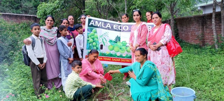 "एक पेड़ मेरी मां के नाम" कार्यक्रम का भव्य आयोजन