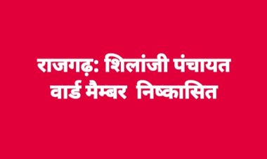 शिलांजी पंचायत के वार्ड सदस्य निष्कासित, डीसी ने जारी किए आदेश...
